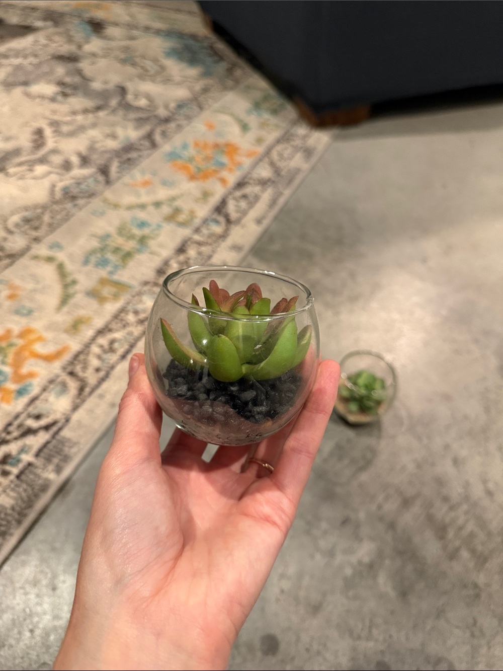 Artificial Succulent in Glass Bowl - Green & Red-Green Home Accent - Picture 4 of 5